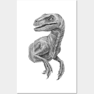 Raptor Posters and Art